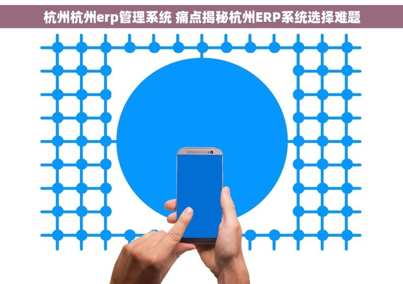 杭州杭州erp管理系统 痛点揭秘杭州ERP系统选择难题