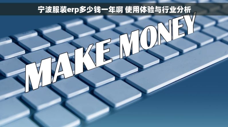 宁波服装erp多少钱一年啊 使用体验与行业分析