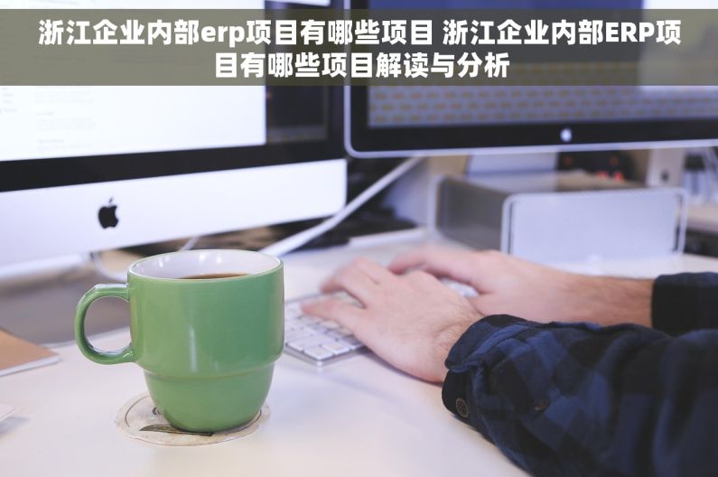 浙江企业内部erp项目有哪些项目 浙江企业内部ERP项目有哪些项目解读与分析