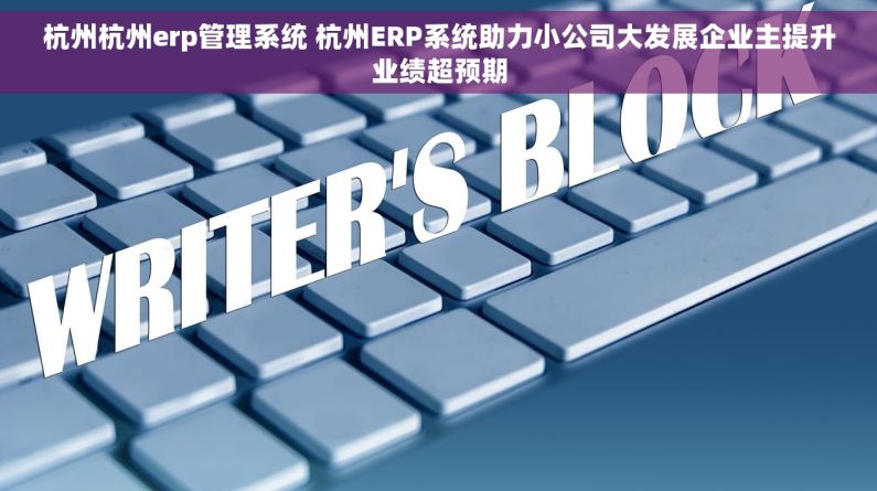 杭州杭州erp管理系统 杭州ERP系统助力小公司大发展企业主提升业绩超预期
