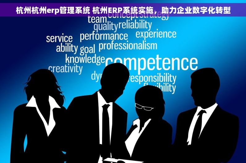 杭州杭州erp管理系统 杭州ERP系统实施，助力企业数字化转型