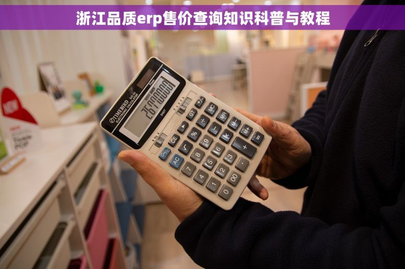 浙江品质erp售价查询知识科普与教程