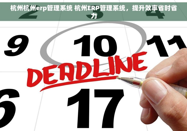 杭州杭州erp管理系统 杭州ERP管理系统，提升效率省时省力