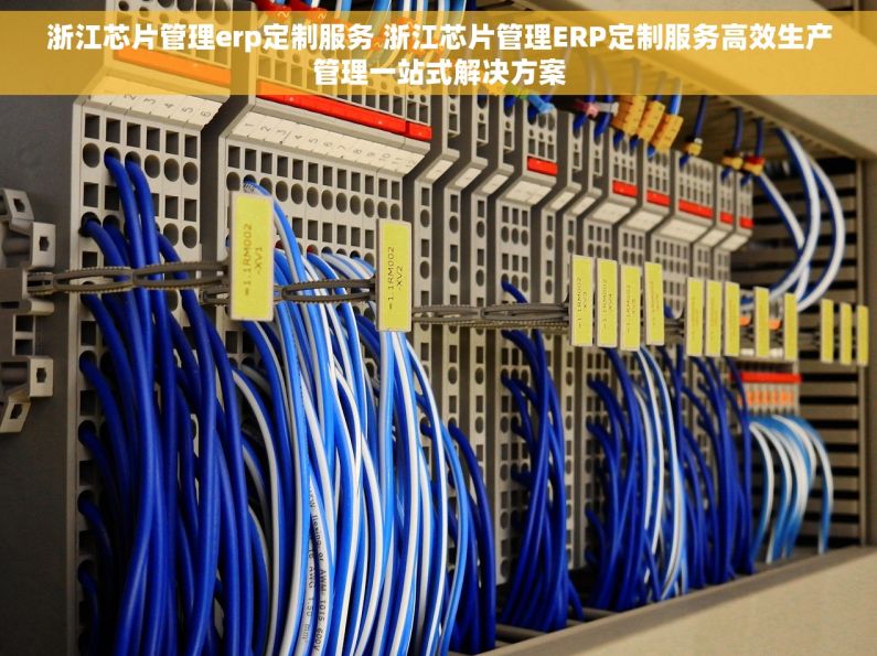 浙江芯片管理erp定制服务 浙江芯片管理ERP定制服务高效生产管理一站式解决方案