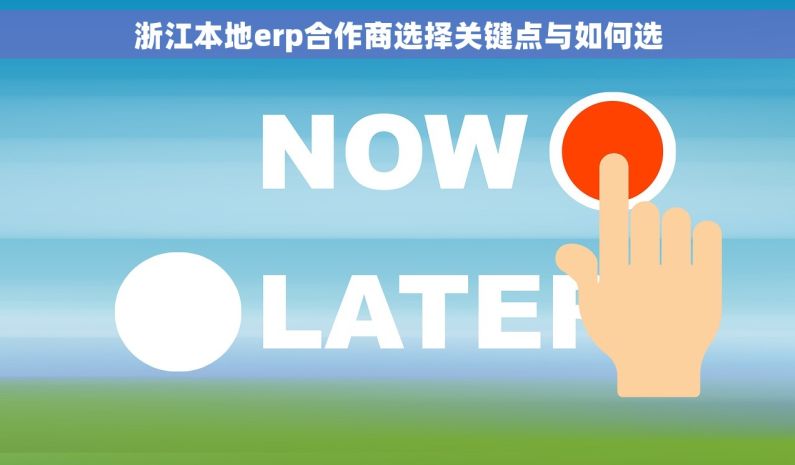 浙江本地erp合作商选择关键点与如何选