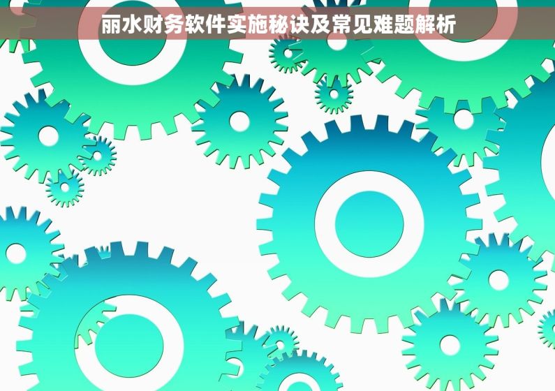丽水财务软件实施秘诀及常见难题解析