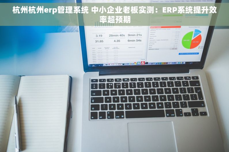杭州杭州erp管理系统 中小企业老板实测：ERP系统提升效率超预期