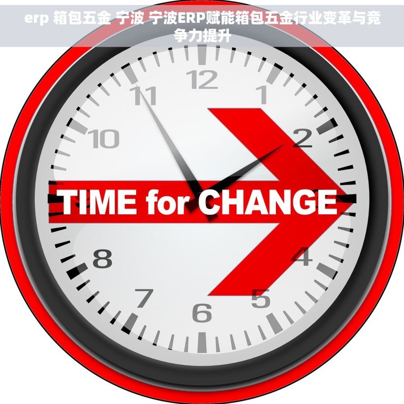 erp 箱包五金 宁波 宁波ERP赋能箱包五金行业变革与竞争力提升