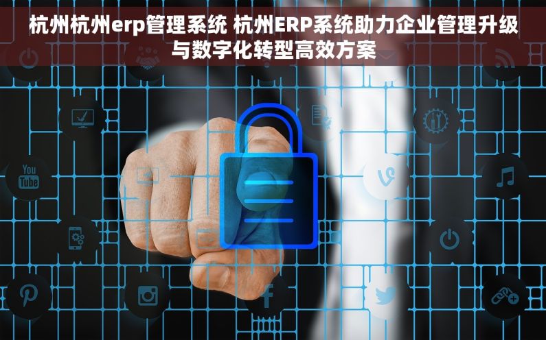 杭州杭州erp管理系统 杭州ERP系统助力企业管理升级与数字化转型高效方案