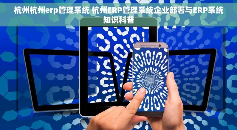 杭州杭州erp管理系统 杭州ERP管理系统企业部署与ERP系统知识科普