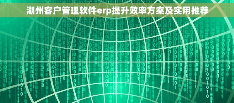 湖州客户管理软件erp提升效率方案及实用推荐