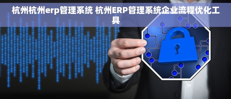 杭州杭州erp管理系统 杭州ERP管理系统企业流程优化工具