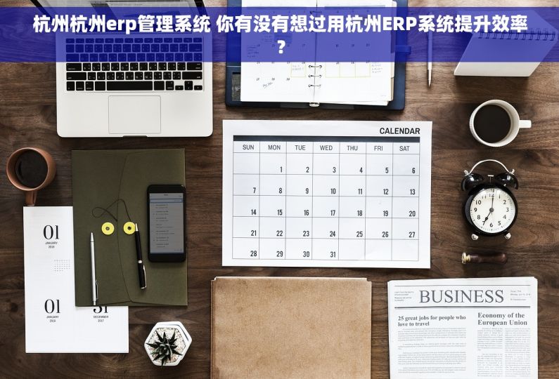 杭州杭州erp管理系统 你有没有想过用杭州ERP系统提升效率？