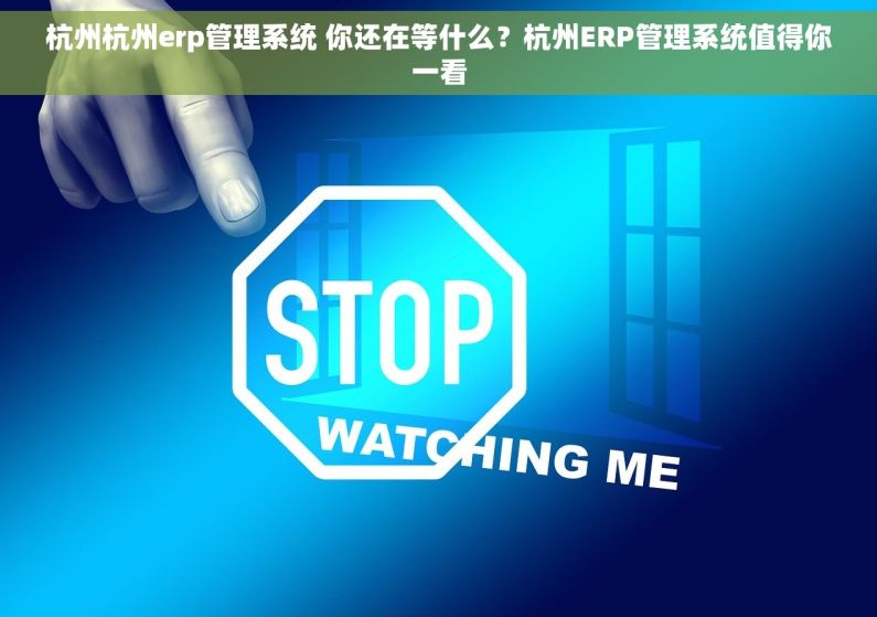 杭州杭州erp管理系统 你还在等什么？杭州ERP管理系统值得你一看