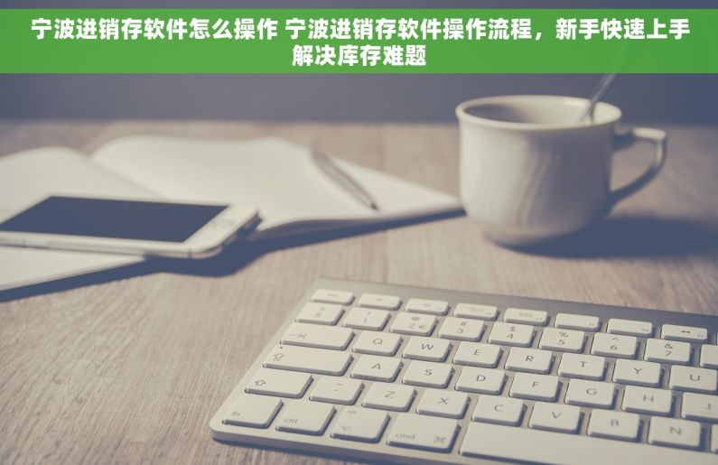 宁波进销存软件怎么操作 宁波进销存软件操作流程，新手快速上手解决库存难题
