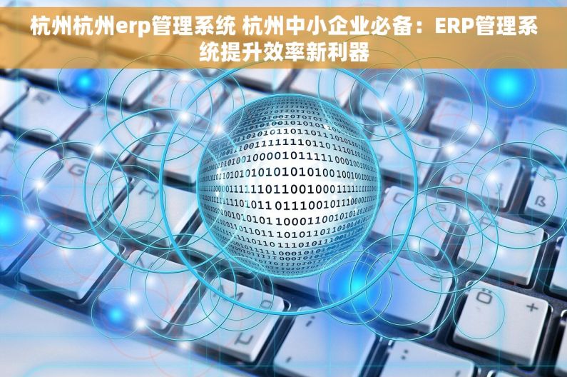 杭州杭州erp管理系统 杭州中小企业必备：ERP管理系统提升效率新利器