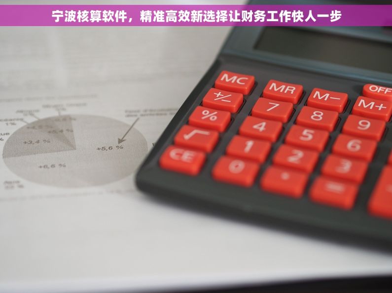 宁波核算软件，精准高效新选择让财务工作快人一步