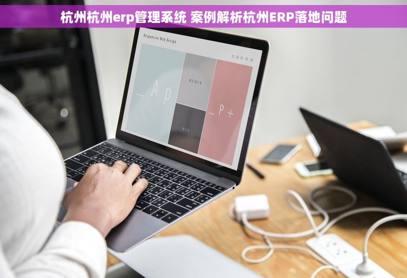 杭州杭州erp管理系统 案例解析杭州ERP落地问题