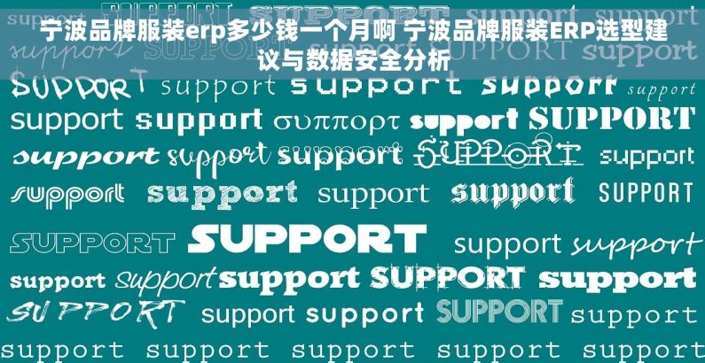 宁波品牌服装erp多少钱一个月啊 宁波品牌服装ERP选型建议与数据安全分析