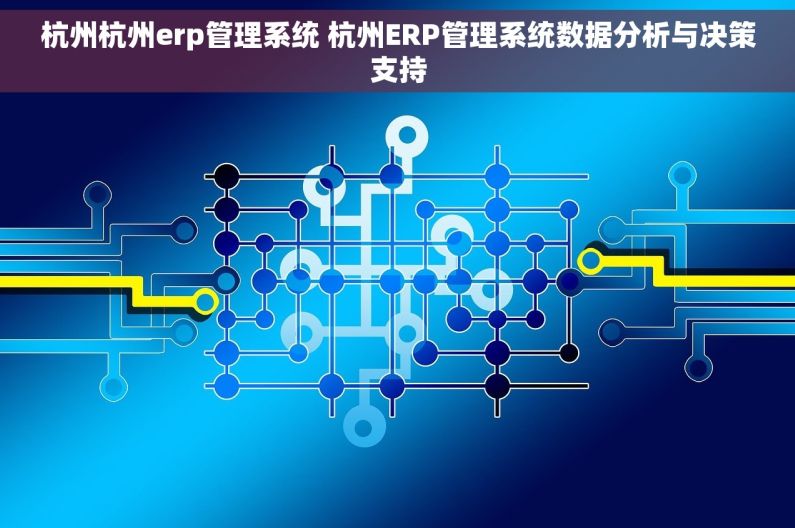 杭州杭州erp管理系统 杭州ERP管理系统数据分析与决策支持