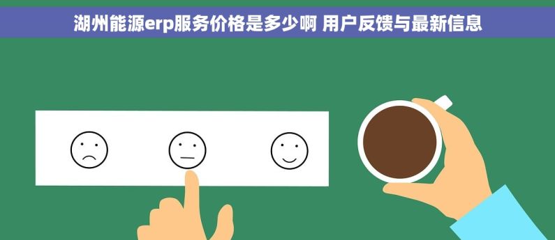 湖州能源erp服务价格是多少啊 用户反馈与最新信息