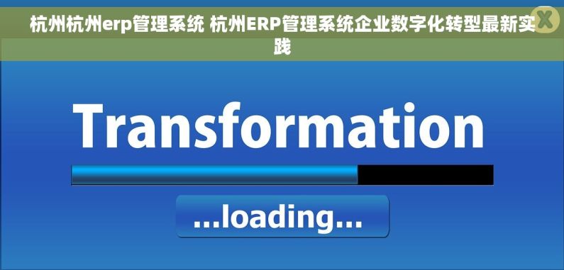 杭州杭州erp管理系统 杭州ERP管理系统企业数字化转型最新实践