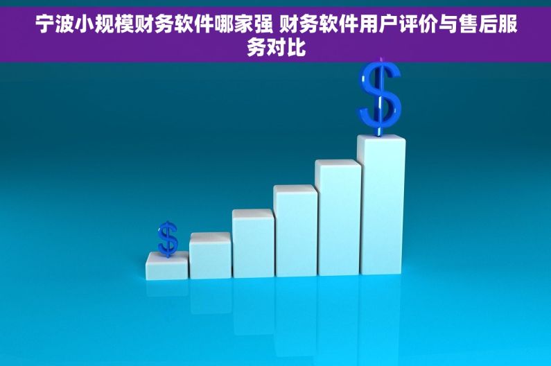 宁波小规模财务软件哪家强 财务软件用户评价与售后服务对比