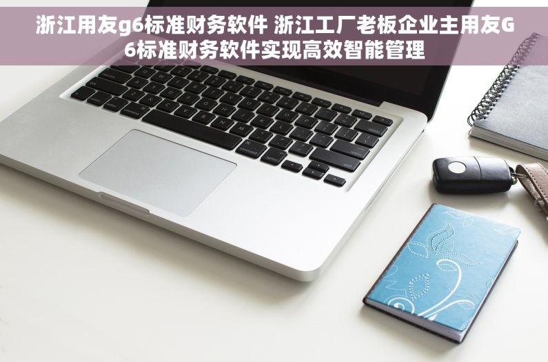 浙江用友g6标准财务软件 浙江工厂老板企业主用友G6标准财务软件实现高效智能管理