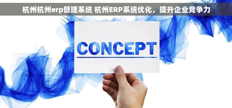 杭州杭州erp管理系统 杭州ERP系统优化，提升企业竞争力