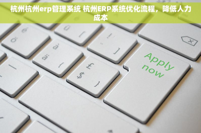 杭州杭州erp管理系统 杭州ERP系统优化流程，降低人力成本