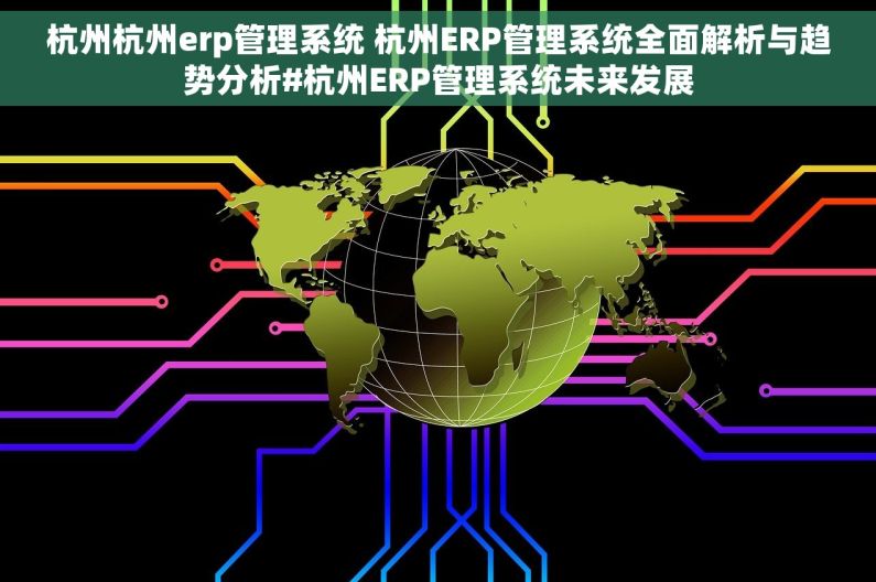 杭州杭州erp管理系统 杭州ERP管理系统全面解析与趋势分析#杭州ERP管理系统未来发展