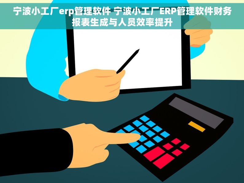 宁波小工厂erp管理软件 宁波小工厂ERP管理软件财务报表生成与人员效率提升