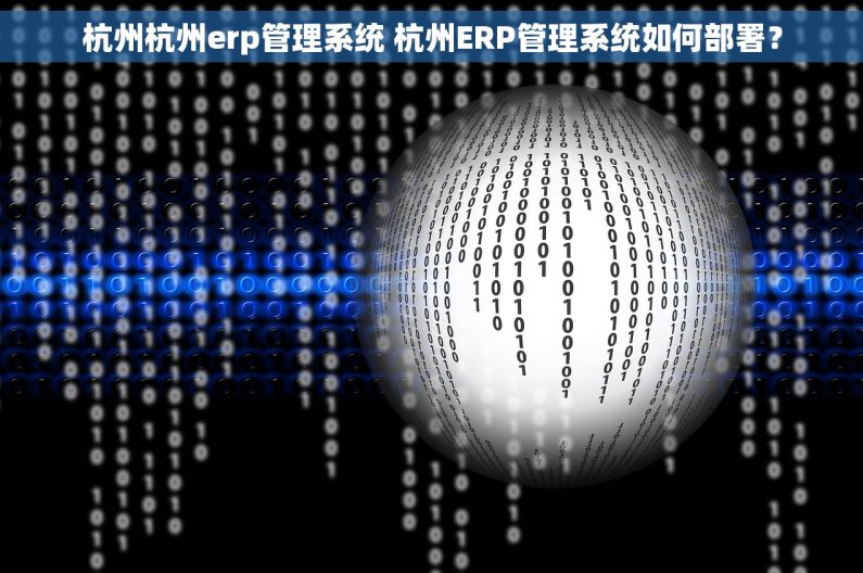 杭州杭州erp管理系统 杭州ERP管理系统如何部署？