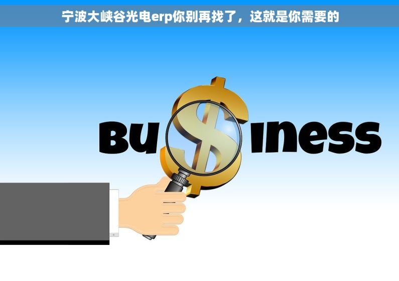 宁波大峡谷光电erp你别再找了，这就是你需要的