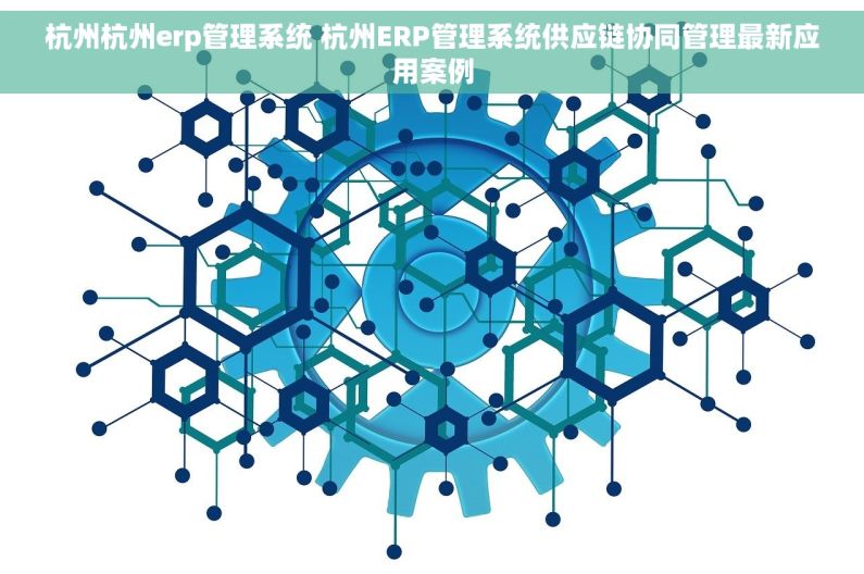 杭州杭州erp管理系统 杭州ERP管理系统供应链协同管理最新应用案例