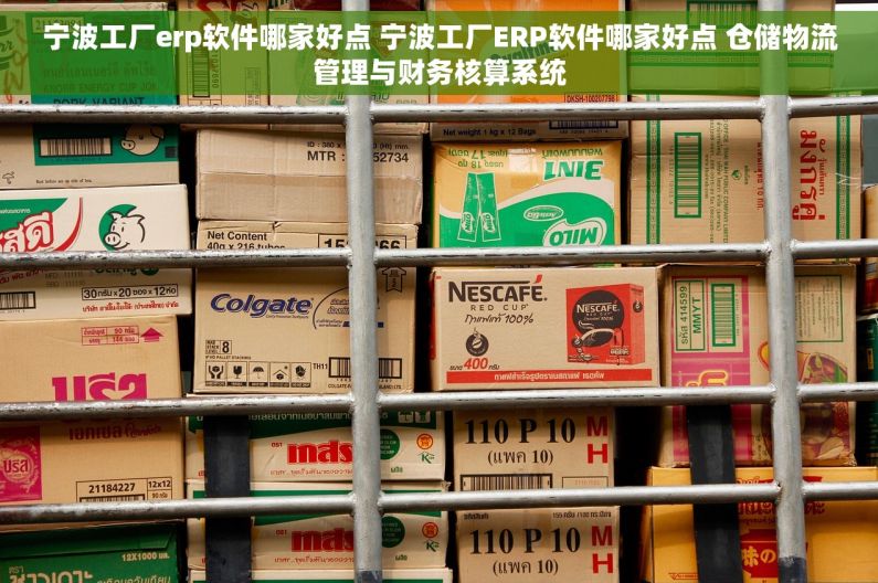 宁波工厂erp软件哪家好点 宁波工厂ERP软件哪家好点 仓储物流管理与财务核算系统
