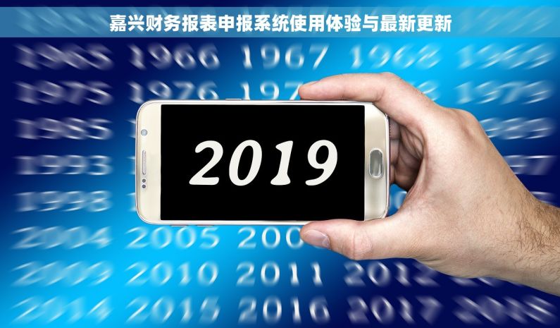 嘉兴财务报表申报系统使用体验与最新更新