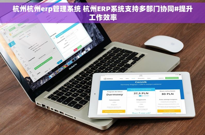 杭州杭州erp管理系统 杭州ERP系统支持多部门协同#提升工作效率