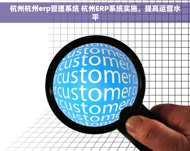 杭州杭州erp管理系统 杭州ERP系统实施，提高运营水平