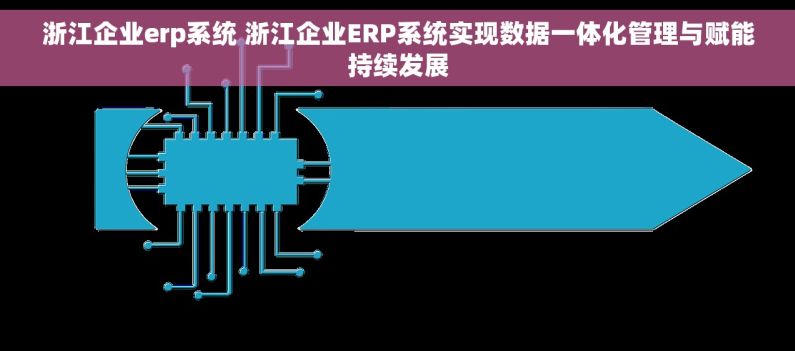 浙江企业erp系统 浙江企业ERP系统实现数据一体化管理与赋能持续发展