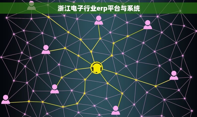 浙江电子行业erp平台与系统