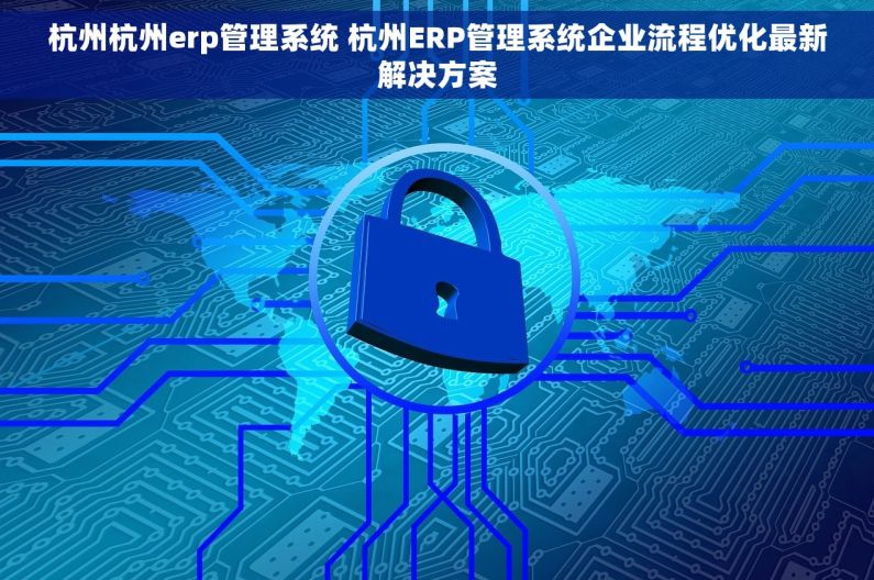 杭州杭州erp管理系统 杭州ERP管理系统企业流程优化最新解决方案