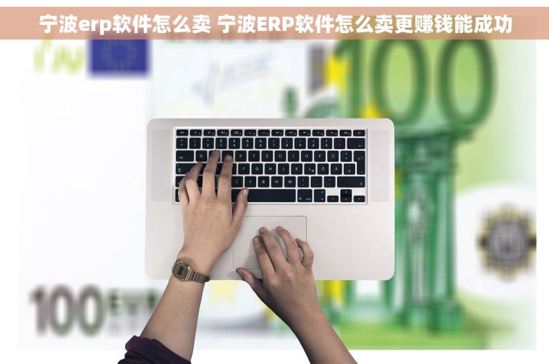 宁波erp软件怎么卖 宁波ERP软件怎么卖更赚钱能成功