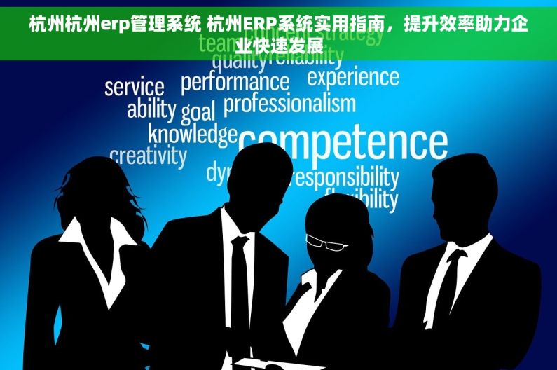 杭州杭州erp管理系统 杭州ERP系统实用指南，提升效率助力企业快速发展