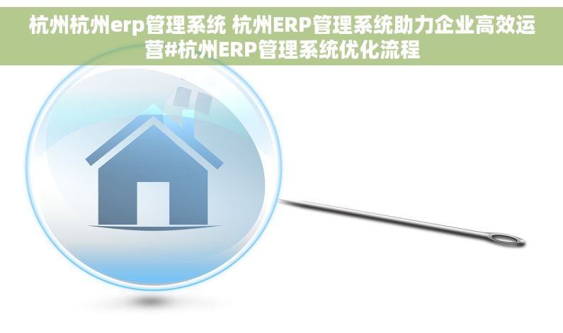 杭州杭州erp管理系统 杭州ERP管理系统助力企业高效运营#杭州ERP管理系统优化流程