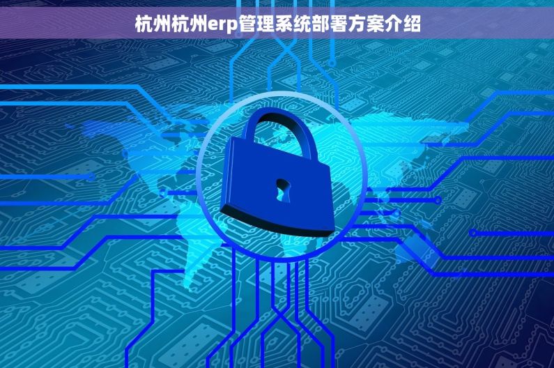杭州杭州erp管理系统部署方案介绍