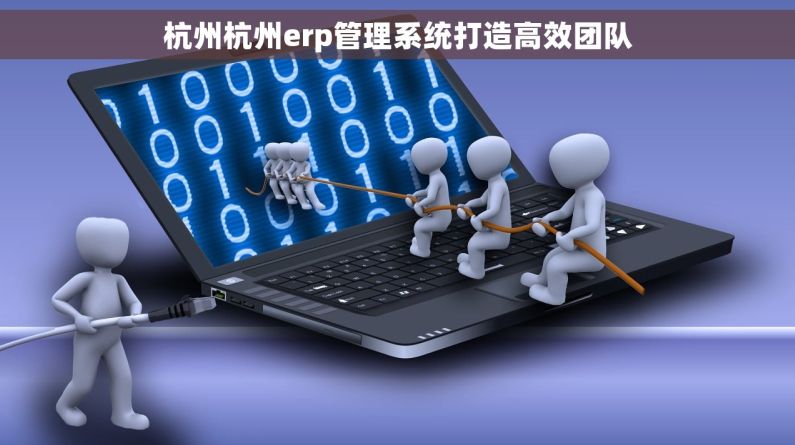 杭州杭州erp管理系统打造高效团队
