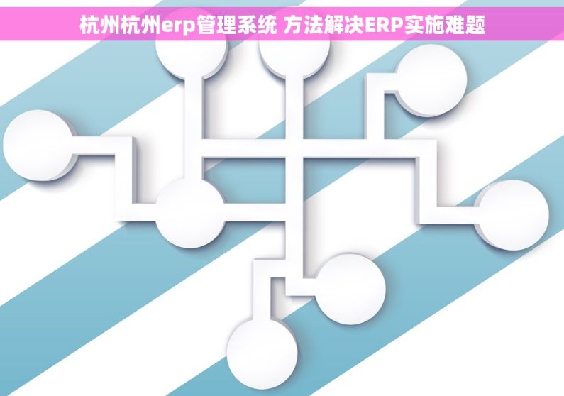 杭州杭州erp管理系统 方法解决ERP实施难题