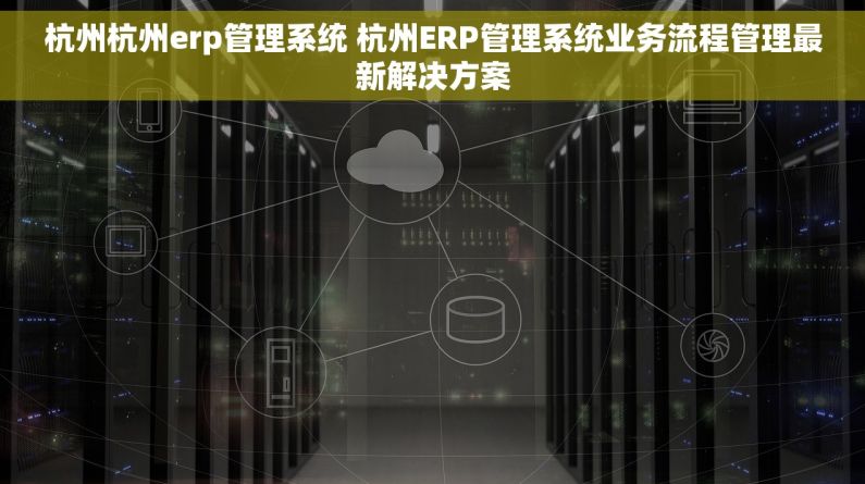 杭州杭州erp管理系统 杭州ERP管理系统业务流程管理最新解决方案