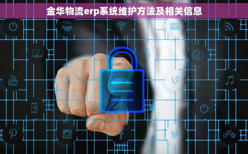 金华物流erp系统维护方法及相关信息